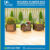 Wooden Planter Suppliers in UAE_Wooden Planter Box in UAE (1).jpg