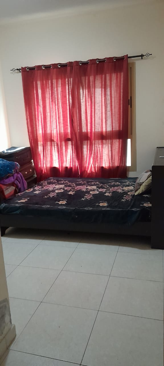 1 BR, 900 ft² – 1BHK Furnished apartment for rent in Ajman
