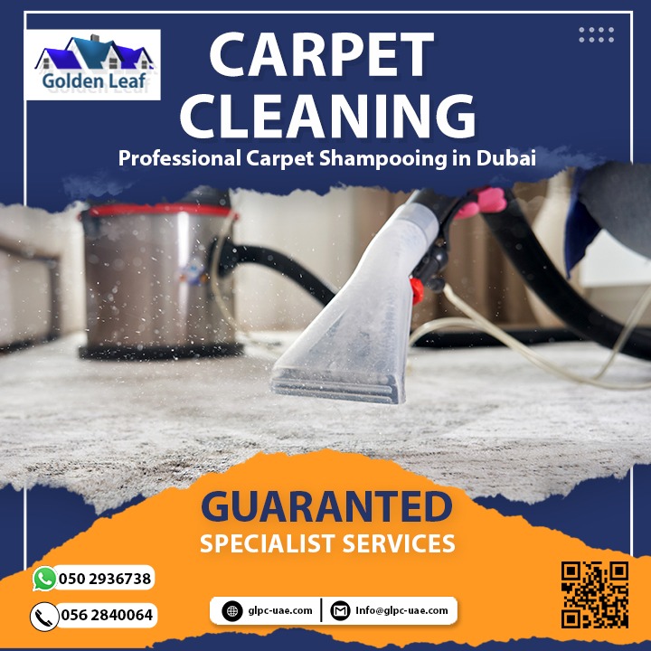Carpet Cleaning,Carpet Removals DIP_0562840064