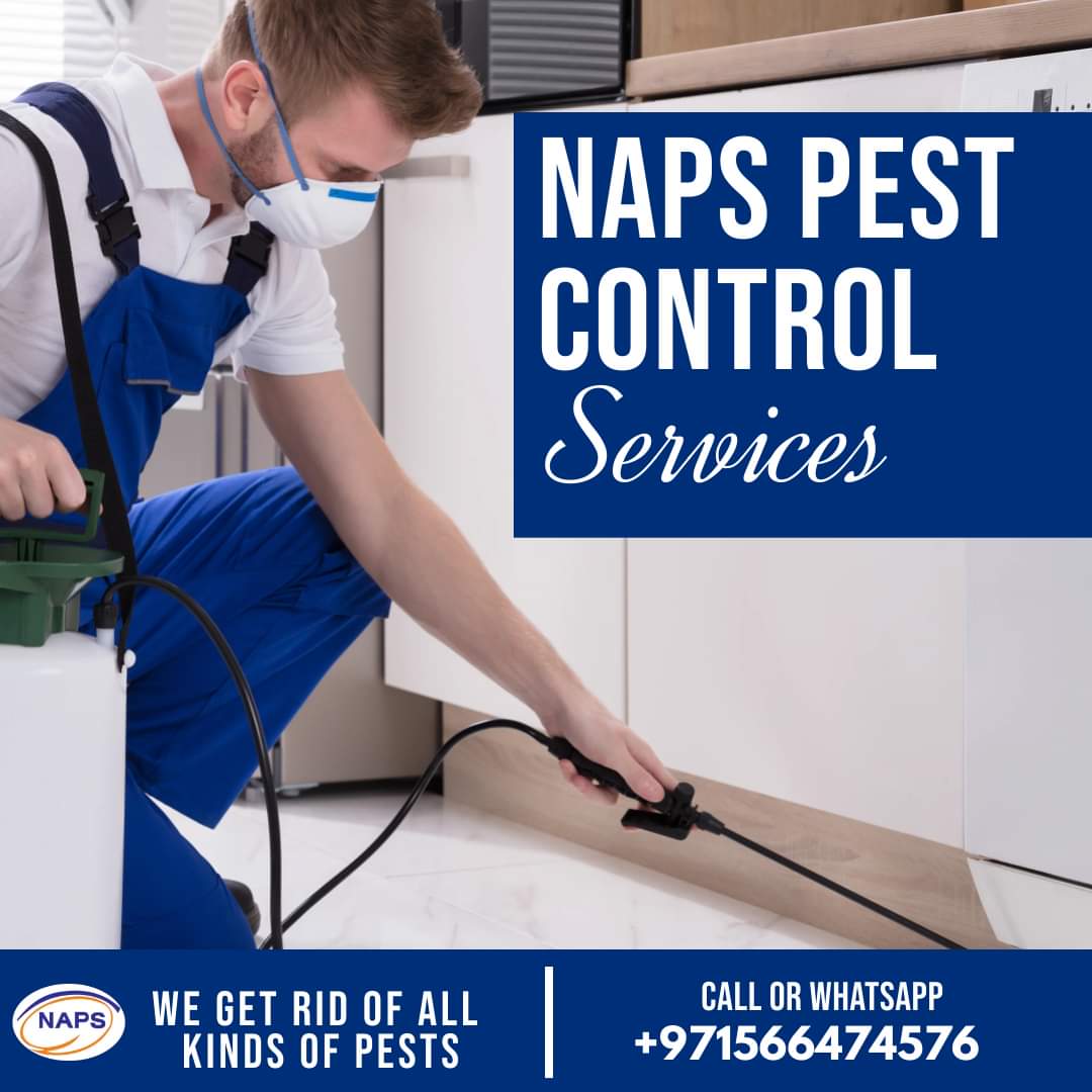 Pest control Services in Dubai
