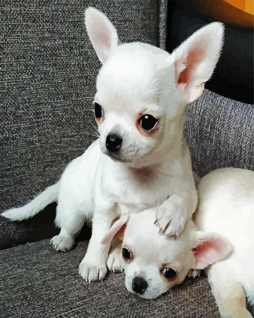 aesthetic-white-chihuahua-puppies-paint-by-numbers.jpg