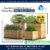 Garden Planter Box  Planter Box Suppliers, Wooden Planter Box in Dubai (26).jpg