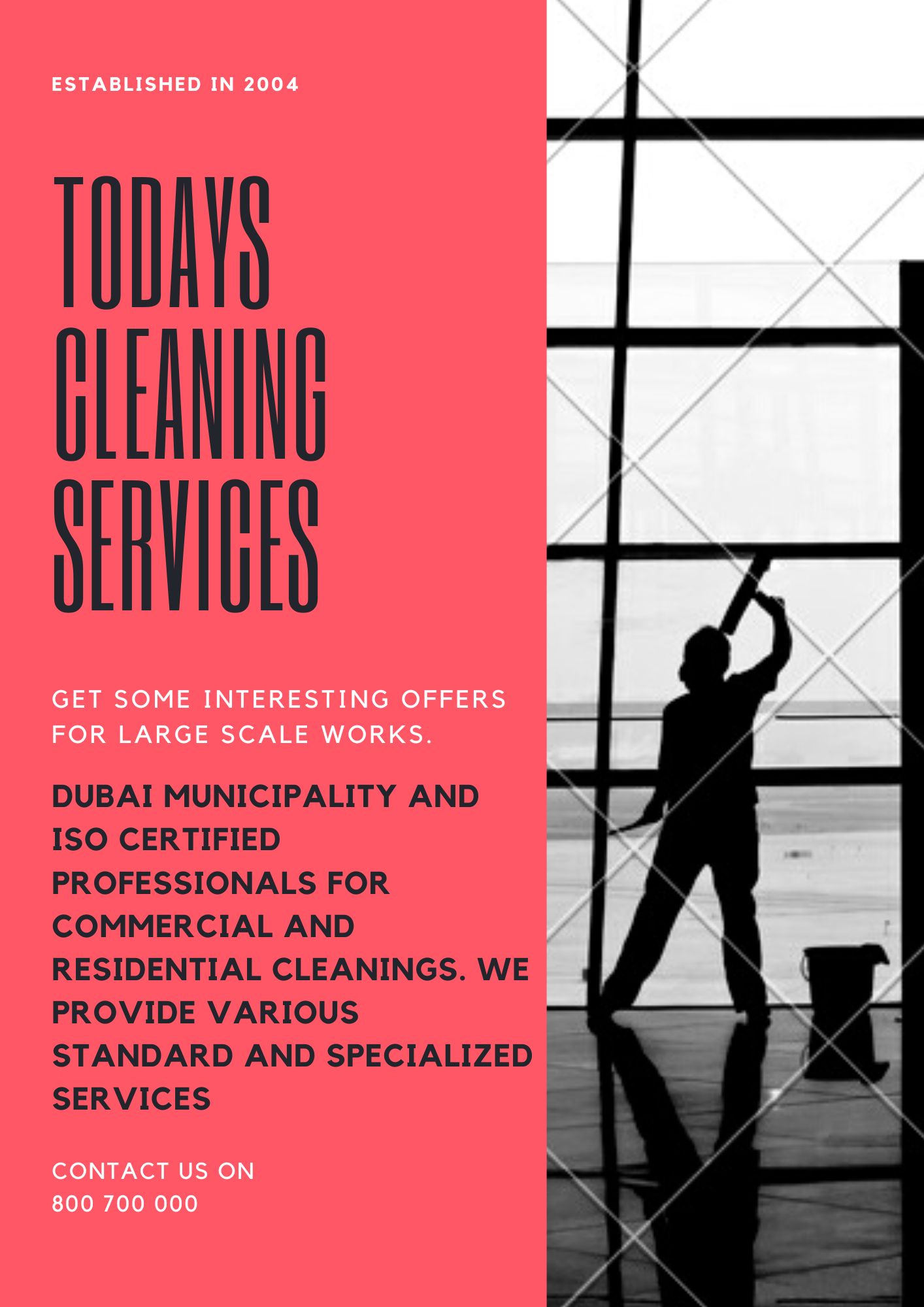 Todays Cleaning Services