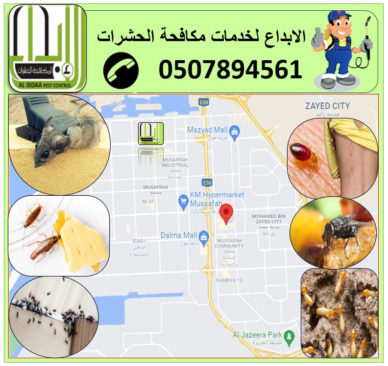 Professional Pest Control Services in Avu Dhabi