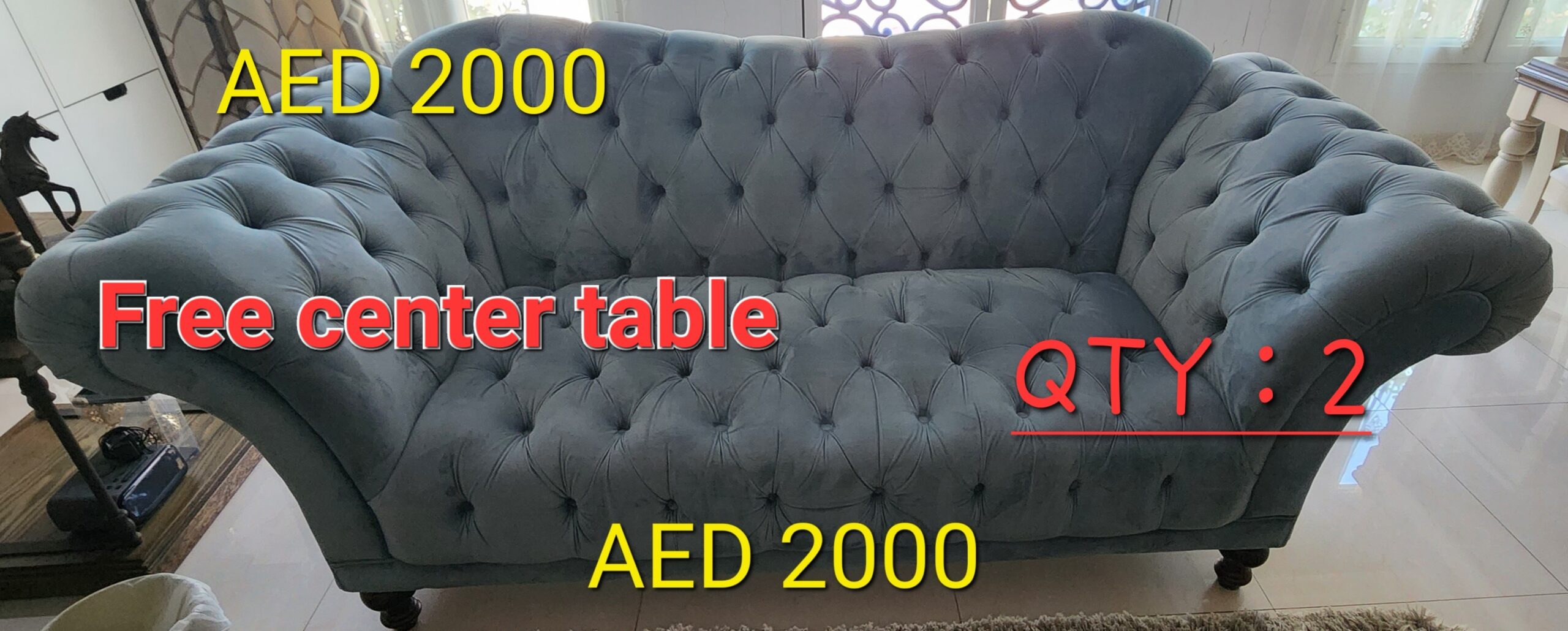 Double 2 seater sofa and free 2 center table