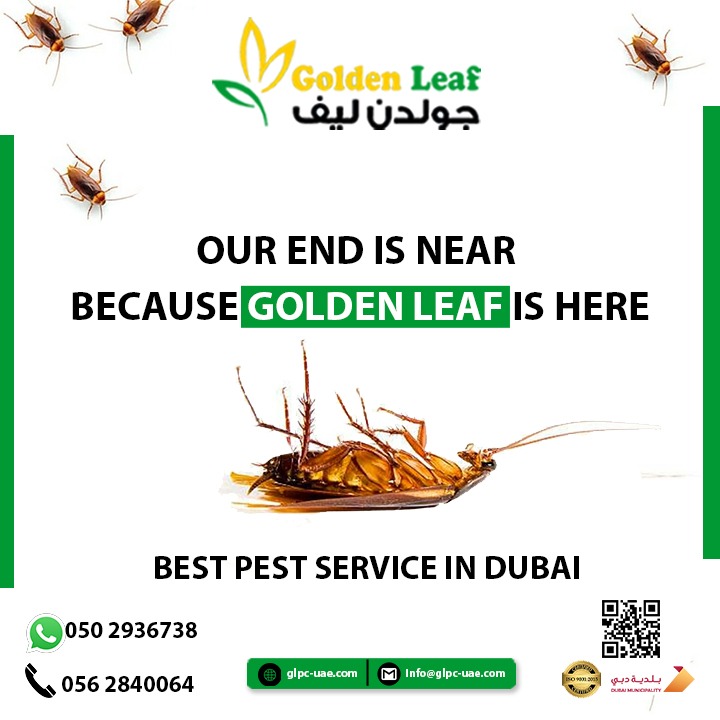 Pest Control Service in Emirates Living Dubai