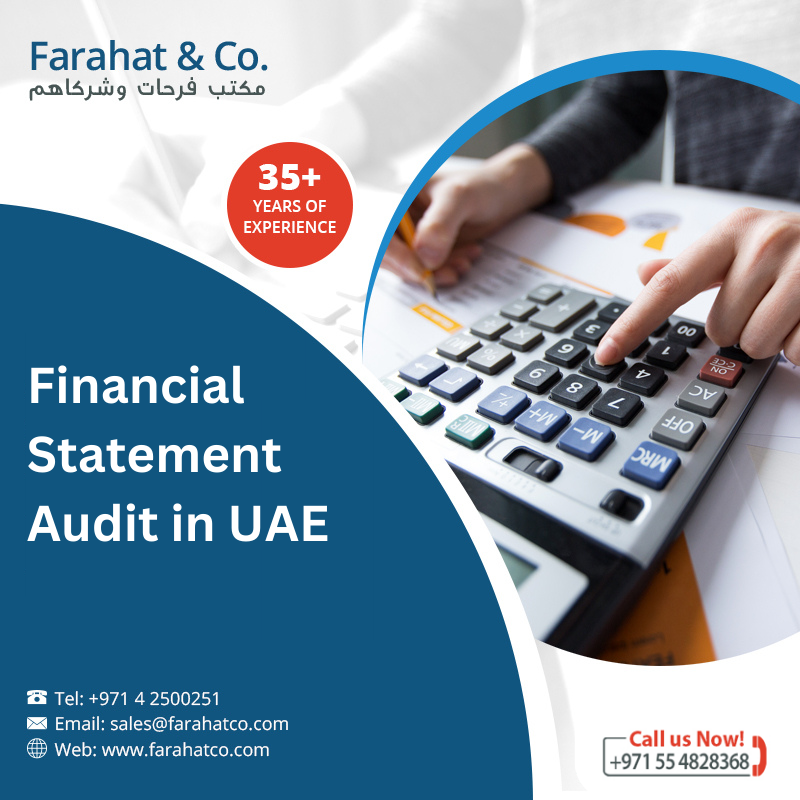 Financial Review and Financial Audit Report