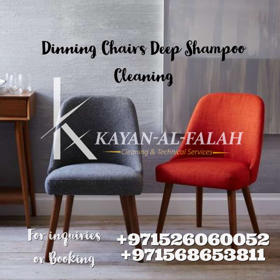 Dinning Chairs Deep Cleaning