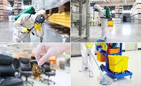 PEST CONTROL, SANITIZATION AND BUILDING CLEANING SERVICES