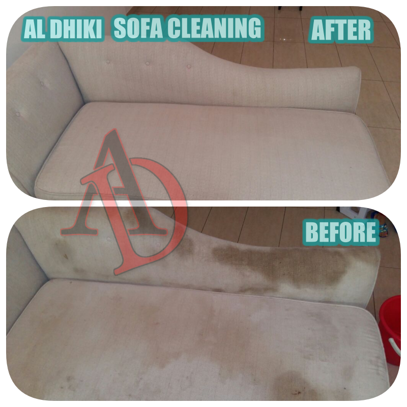 professional-sofa-cleaning-service-.png