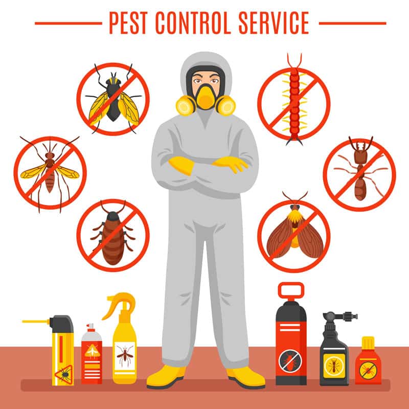 pest-control-images.jpg
