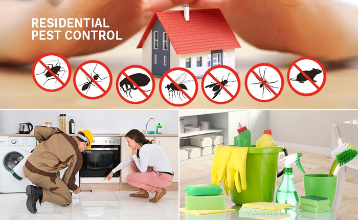 Residential-Pest-Control-&-Cleaning-Services.jpg
