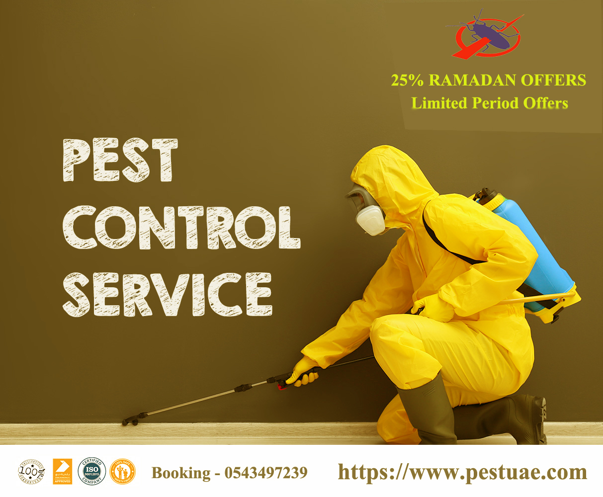 # Pest Control – Best Deals Only This Week