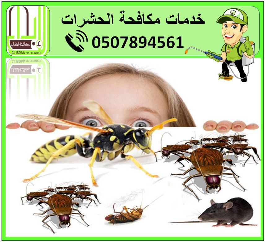 Pest Control Services in Al Ain and Abu Dhabi
