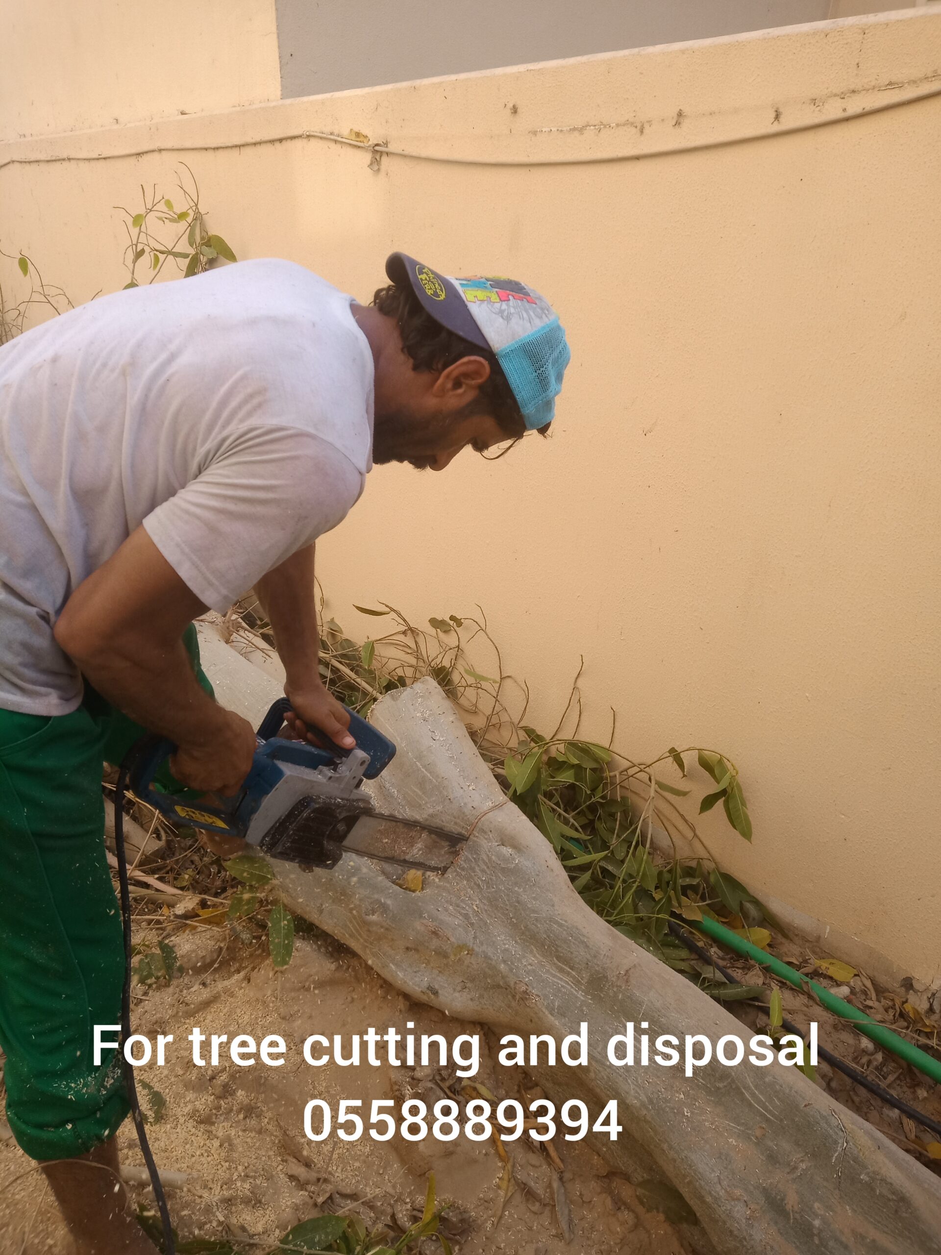 Tree’s cutting and disposal 0558889394