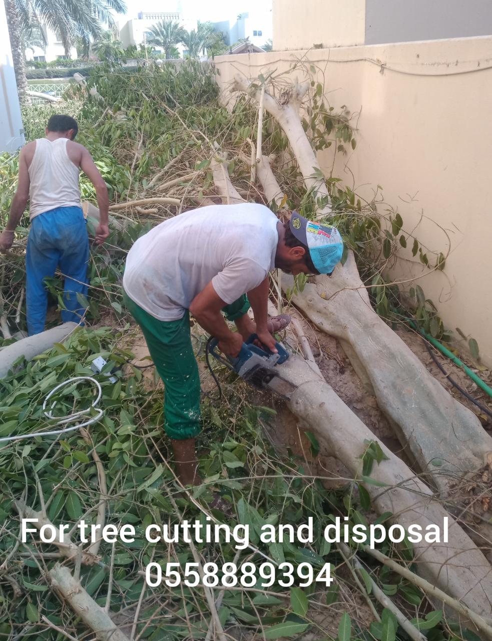 Tree cutting and disposal service