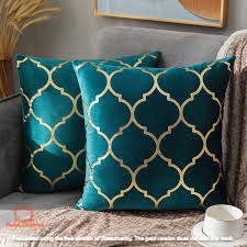 Acquire best cushions for your sofa