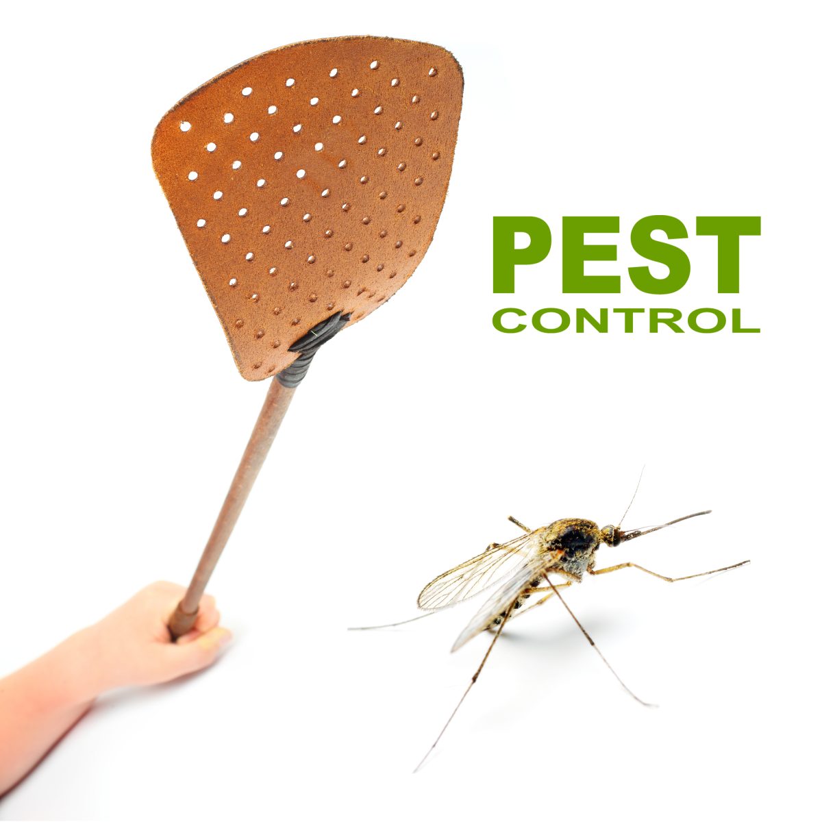 # Mosquito Repellent Services – Book Now!
