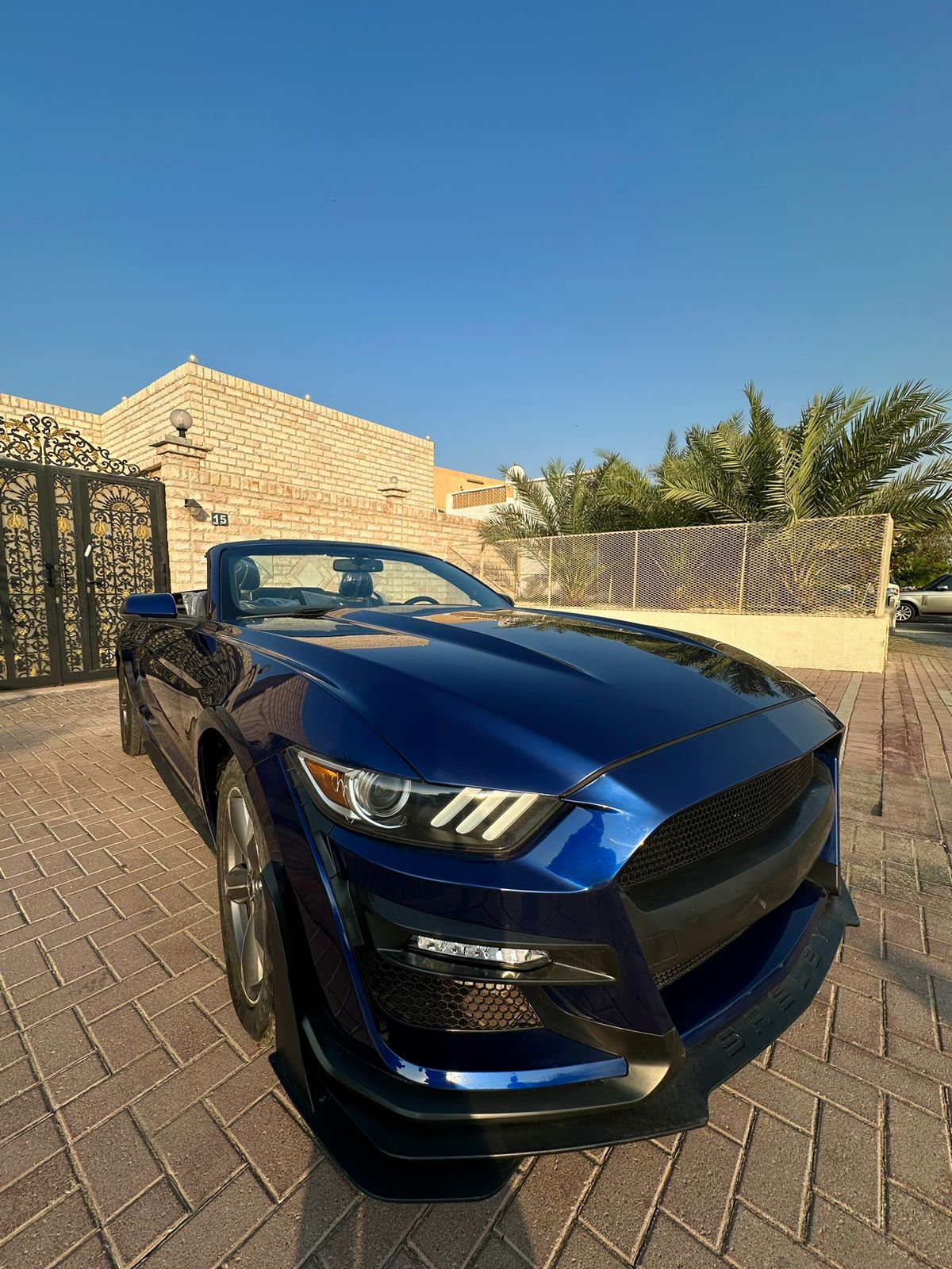 Mustang EcoBoost Turbo