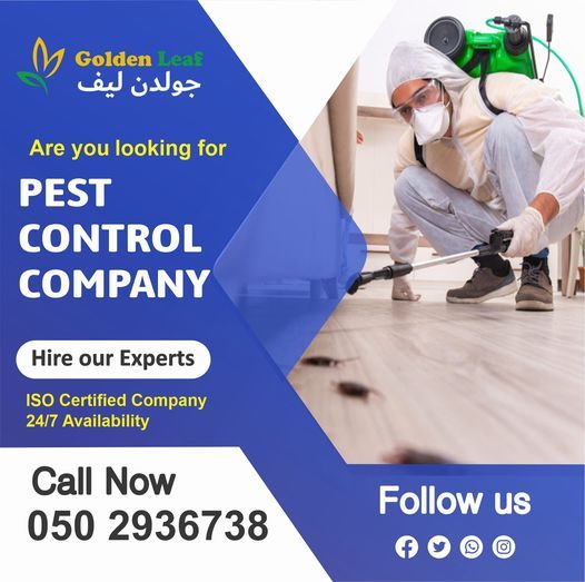 Pest Control JVC_Palm Jumeirah