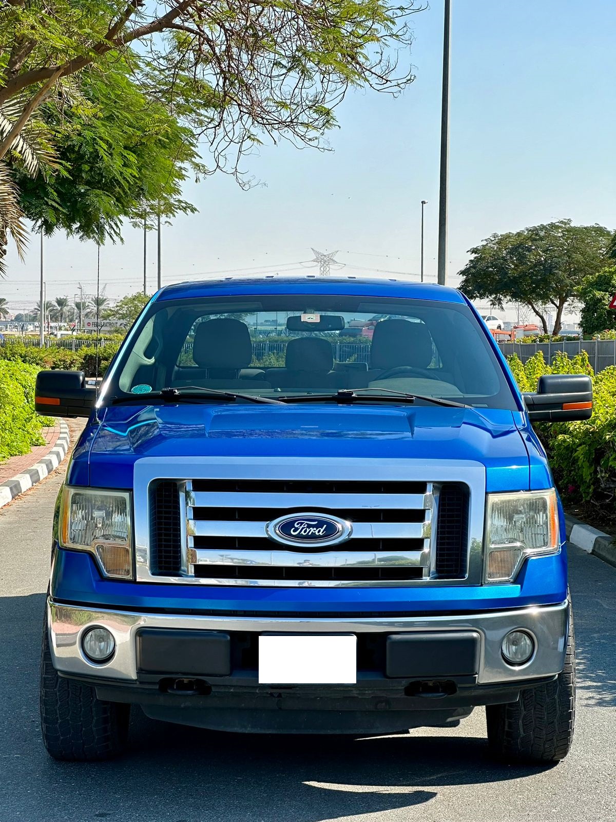 4WD F-150 /Mark LT (F6) 5.0L||GCC Specs ||Well Maintained Single