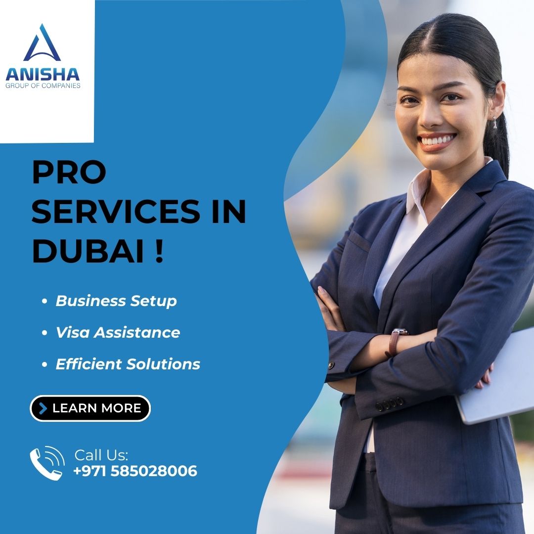 Unleash Excellence With Our PRO Services in Dubai!