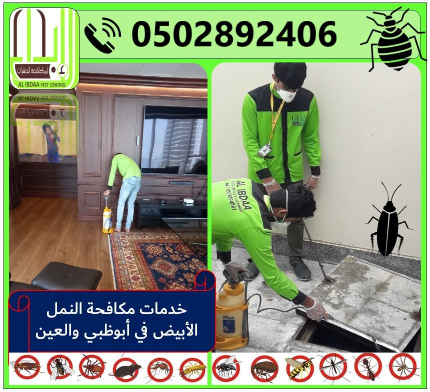 Pest Control Services in Abu Dhabi and Al Ain