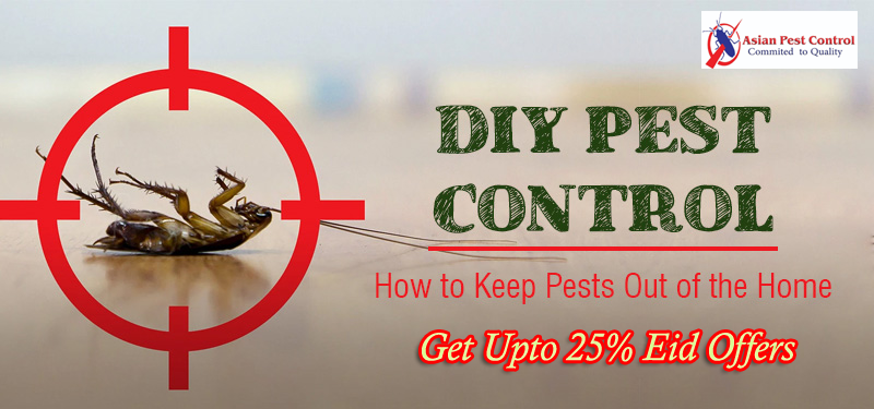# Get Up to 25% Eid Offers – Pest Control