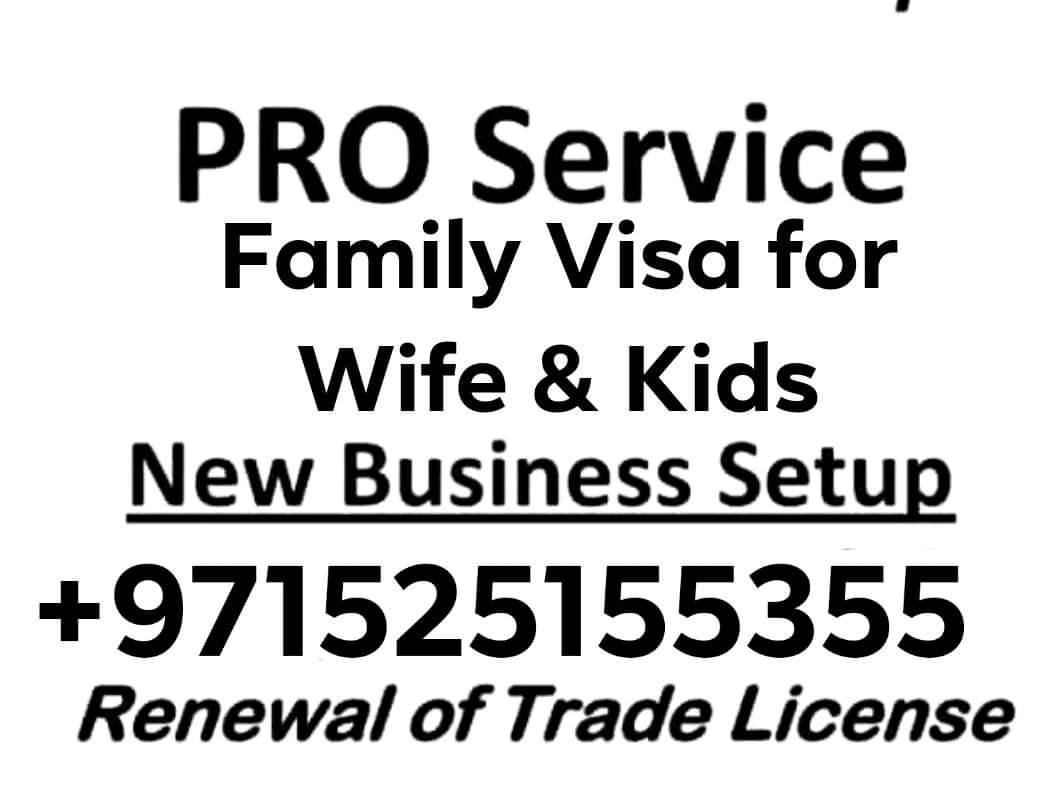 UAE Visa services