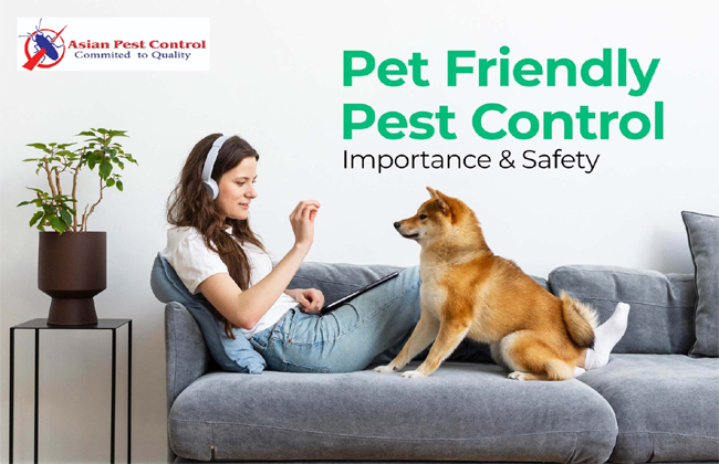 # Available @99 AED – Best Pest Control