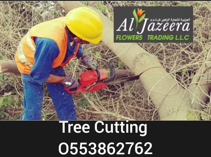 Tree cutting and disposal service