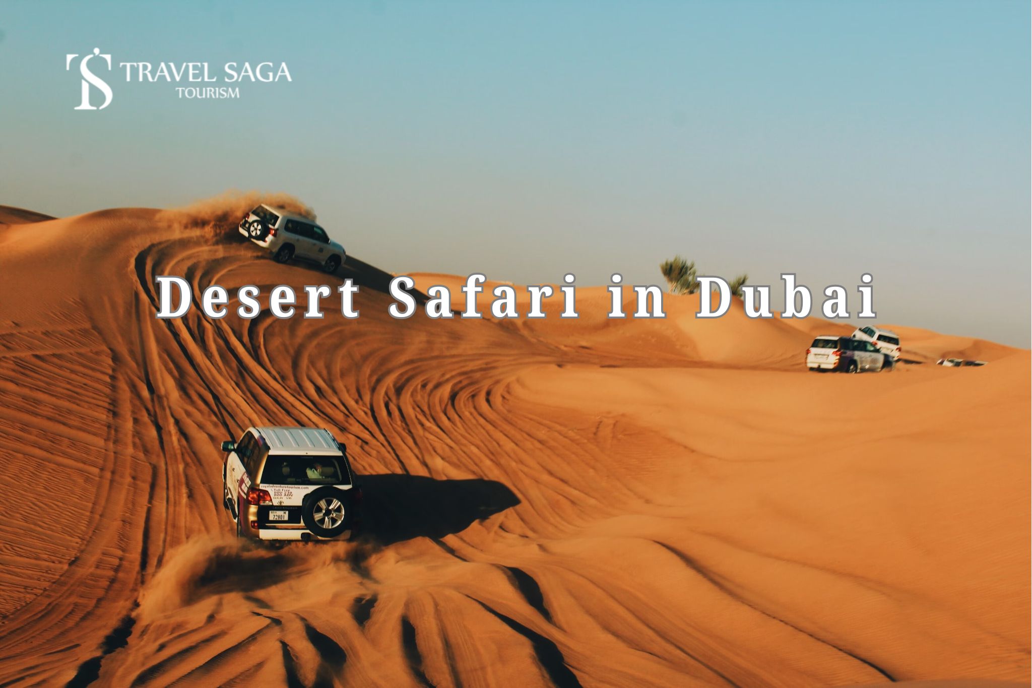 Desert Safari in Dubai1718952158