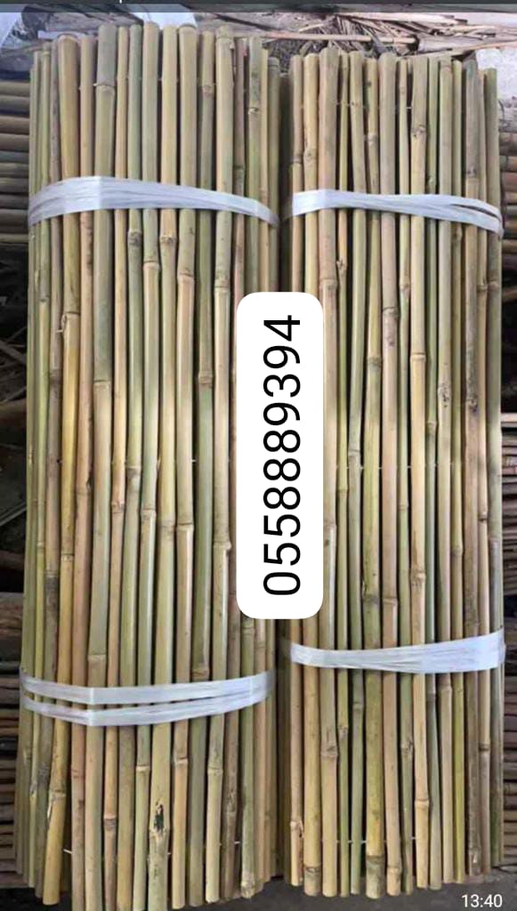 Thicker bamboo fence.jpeg