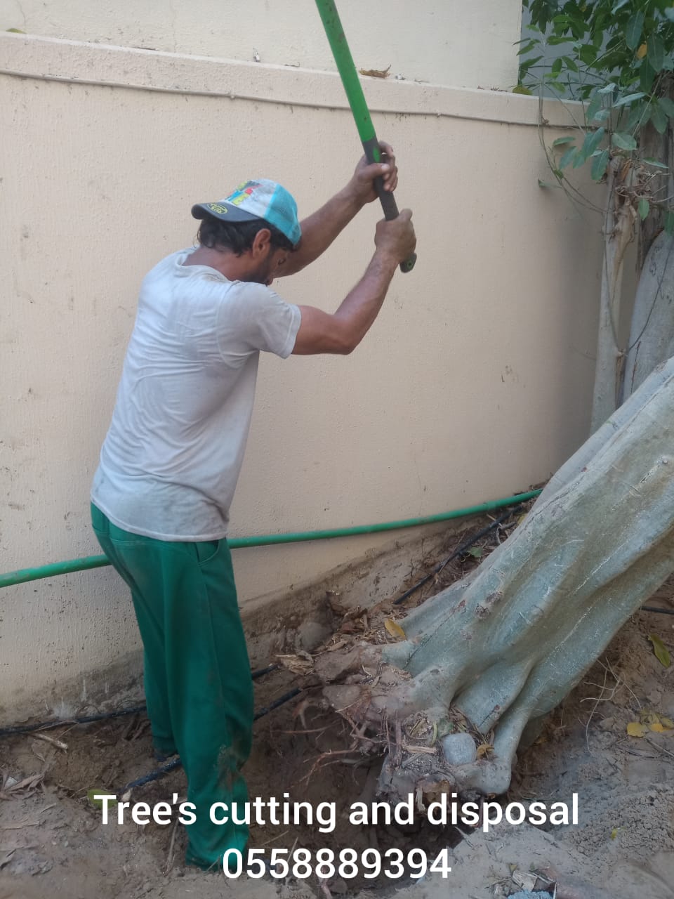 TREE CUTTING AND DISPOSAL SERVICE