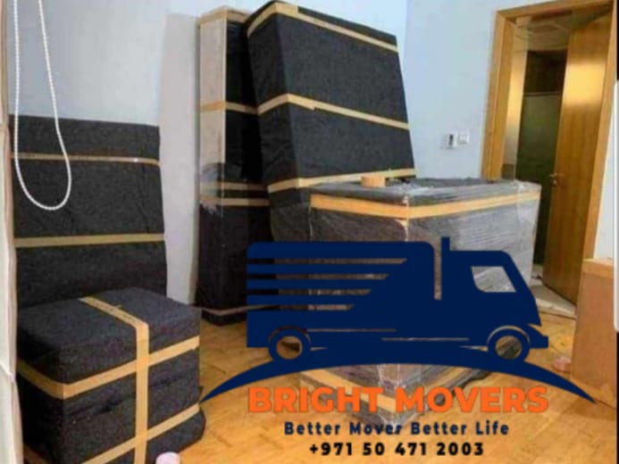 Bright Mover & Transport Cargo LLC