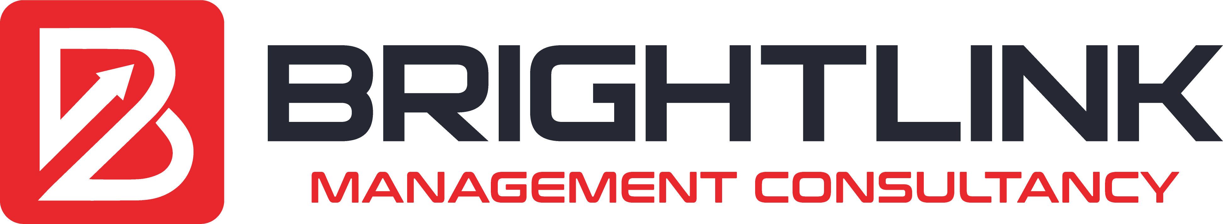 Brightlink Management Consultancy provides Business setup in the