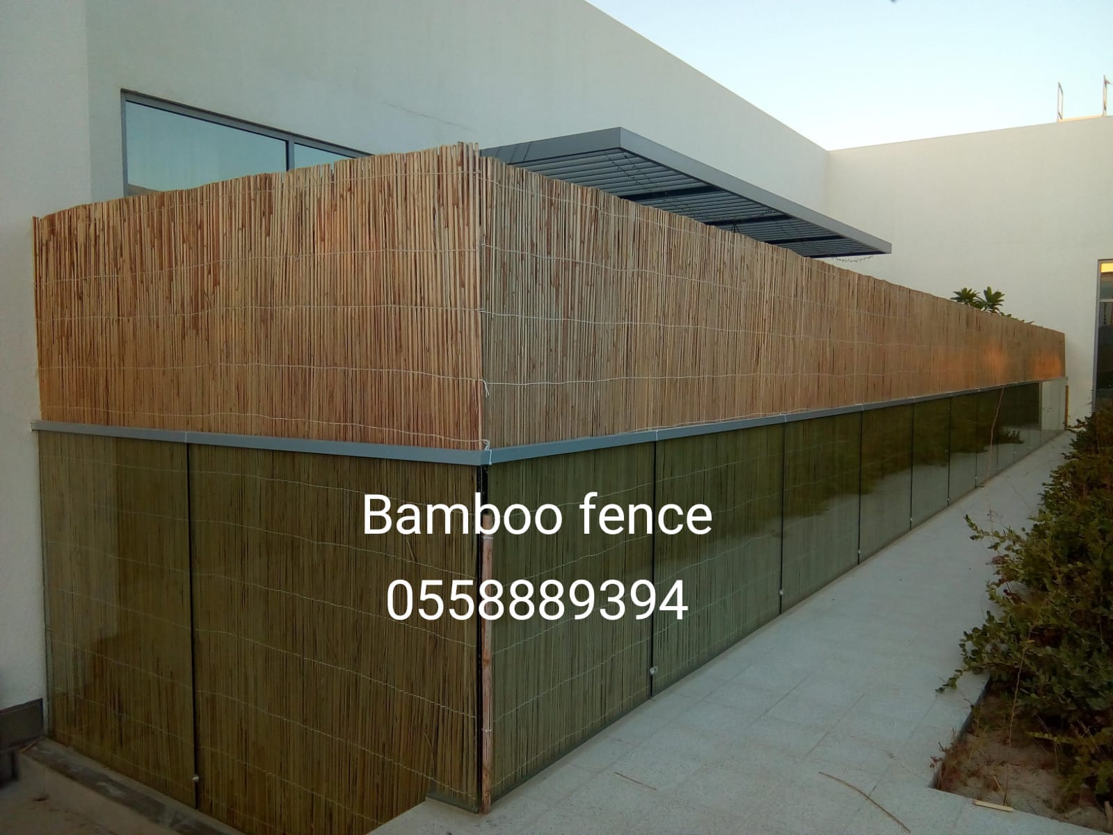 Glass bamboo fence.jpeg