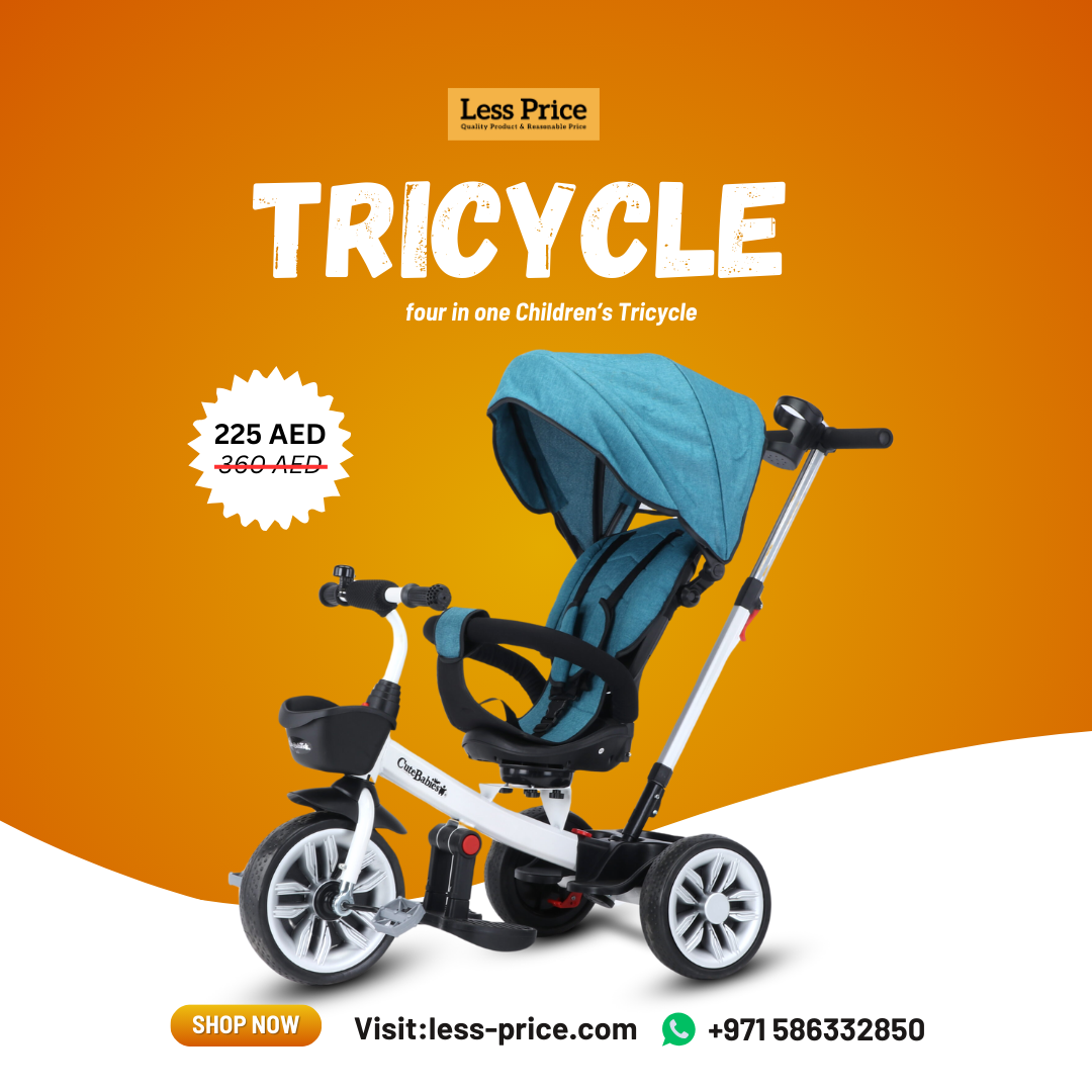 TRICYCLE 2.png