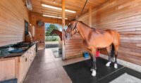 stylish-horse-stall-mat (1)1754481633
