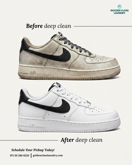 golden class laundry (23)1764657450